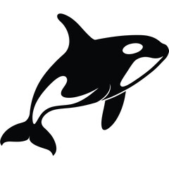 Fototapeta premium oraca vector