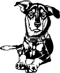 Kelpie-Labrador Dog Breed - Pet Vector Cut file, Dog Silhouette Stencil - Cricut file
