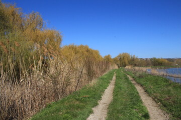 A path through a field