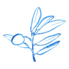 Watercolor hand drawn olibe branch. Linear brush drawn olive brunch with leaves and olive. Use as print, poster, invitation, element design, textile, package, clothes print, stickers.