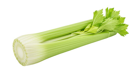 Isolated Celery Stalk