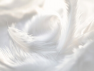 Fototapeta premium A serene and elegant composition of delicate white feathers with soft and dreamy textures. A sense of peace and tranquility in airy setting, close-up.