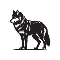 Fototapeta premium Timber Wolf Silhouette - Timber Wolf Vector - Timber Wolf Illustration - Timer Wolf Artwork.