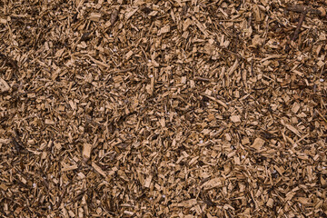 Texture made of fine wooden sawdust