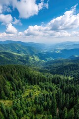 Fototapeta premium Bird's-eye view of the Carpathian Mountains reveals a lively terrain adorned with lush evergreen forests beneath a bright azure sky. This image captures the spirit of exploration in Ukraine's stunnin
