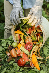 Compost heap pile with bio waste. Farmer with vegetables and fruits food scraps from bucket in...