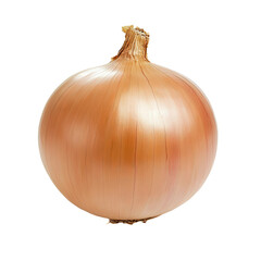 fresh sweet onion with bright purple skin, low angle view

