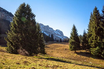 Sentier du char, Bellecombe-en-Bauges