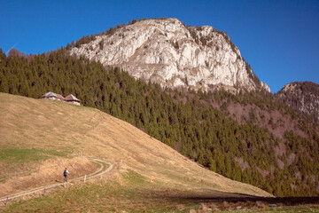 Sentier du char, Bellecombe-en-Bauges