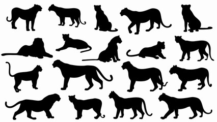 set of lionesses silhouette vector on white background