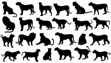 set of lionesses silhouette vector on white background