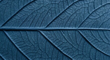 Obraz premium This stunning macro shot captures the mesmerizing details of a leaf's veins and textures.