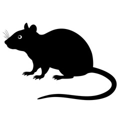 a rat silhouettee on white background



