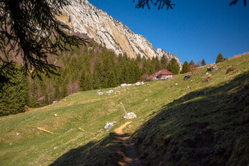Sentier du char, Bellecombe-en-Bauges