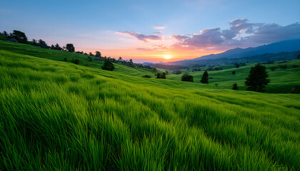 Fototapeta premium Vibrant sunset over rolling green hills and grassy field. Generative AI