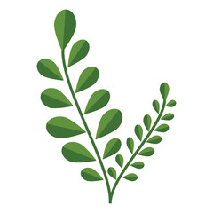 Plant. Vector flat illustration. Isolated on white background. Perfect for various designs: interior, meditation, health and posters.