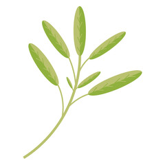Plant. Vector flat illustration. Isolated on white background. Perfect for various designs: interior, meditation, health and posters.