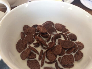 chocolate Cereal in plaint milk in white bowl