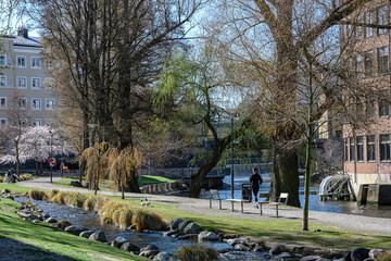 Flowering trees in waterfront park Strömparken along Motala Stream during spring in Norrköping. Norrköping is a historic industrial town in Sweden.