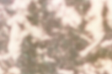 Leaf shadow and light on wall grey background. Nature tropical leaves plant tree branch shade sunshine. Sunlight on white wall texture for background wallpaper, shadows overlay effect foliage mockup