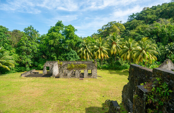 Ruins of Habitation Fond Moulin, a former plantation outside of Grand'Riviere on the north coast of Martinique along a hiking trail in the Caribbean.