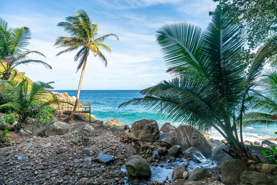 View over the Atlantic ocean and Caribbean sea from north coast of Martinique near Grand'Riviere at Habitation Fonds de Moulin an abandoned plantation in the jungle.