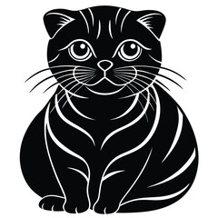 scottish fold vector