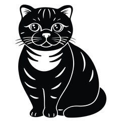 scottish fold vector