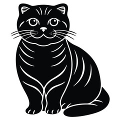 scottish fold vector