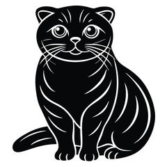 scottish fold vector