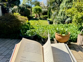 POV, Your point of view of reading a book while wind blows the page with sunny green grass garden...