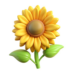 Beautiful yellow sunflower blossom isolated on white