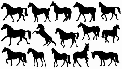 set of Horse silhouette vector on white background