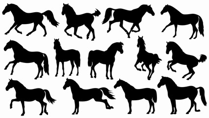 set of Horse silhouette vector on white background