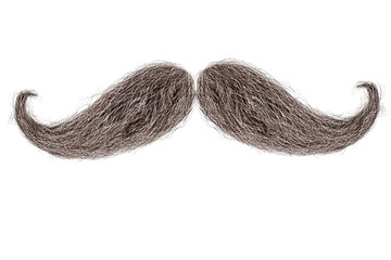A full, curly, grey mustache on a solid transparent background, perfect for adding to portraits or designs