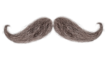 A full, curly, grey mustache on a solid transparent background, perfect for adding to portraits or designs
