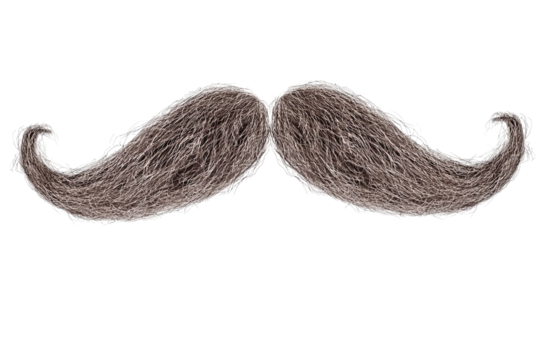 A full, curly, grey mustache on a solid transparent background, perfect for adding to portraits or designs