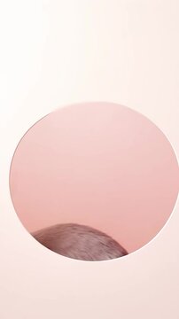 Adorable White Bunny with Perky Ears and Soft Fur Peeking Through a Round Cutout on a Pastel Pink and Cream Minimalist Setting