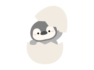 卵とペンギンの赤ちゃん