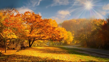 Fototapeta premium The Beauty Of Autumn