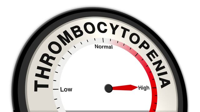 Thrombocytopenia text or word shown with a barometer or tachometer-style gauge, representing varying levels of platelet deficiency and associated bleeding risk