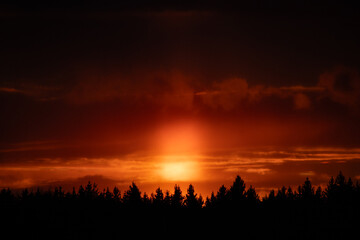 Obraz premium Fiery Sunset Behind Pine Forest in Lithuania