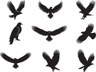 Obraz premium Flying Eagle Silhouettes Vector Set – Black Bird Silhouette for Logo, Tattoo, Wildlife, and Nature Design