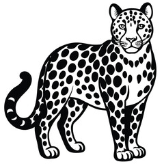 snow leopard vector