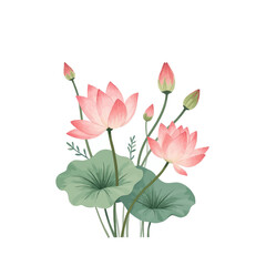 Pink lotus flowers with buds and green leaves