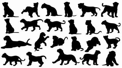 set of lion cub  silhouette vector on white background
