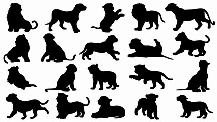 set of lion cub  silhouette vector on white background