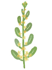 Minimal cute flowers 