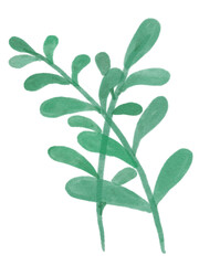 Minimal cute flowers 