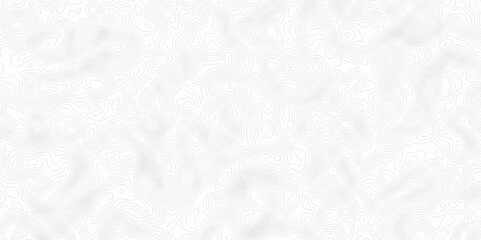 White topography topology vector white background fresh contour map texture. white seamless pattern Abstract background with a wave Topography and geography map grid abstract backdrop.